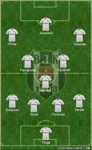 Besiktas JK Formation 2013