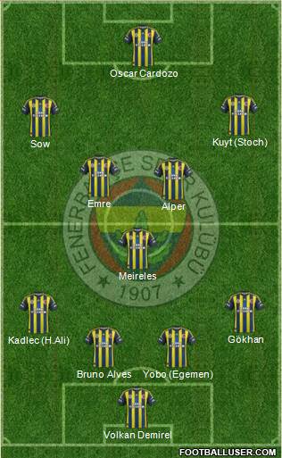 Fenerbahçe SK Formation 2013