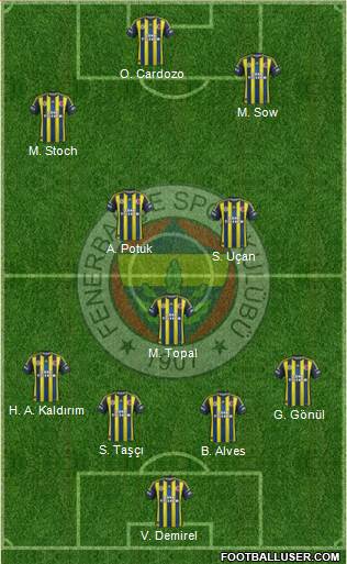 Fenerbahçe SK Formation 2013