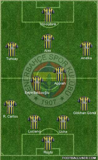 Fenerbahçe SK Formation 2013
