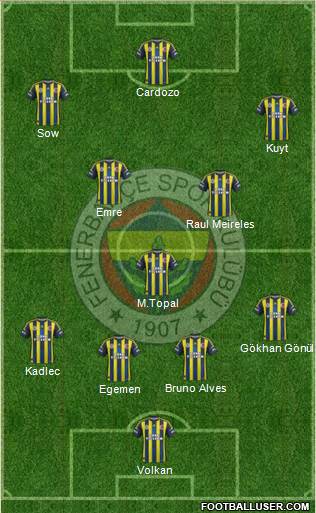 Fenerbahçe SK Formation 2013