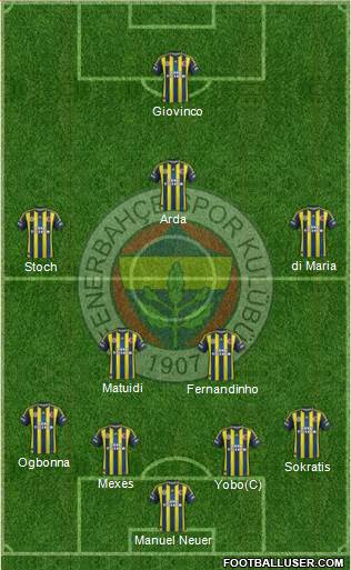 Fenerbahçe SK Formation 2013
