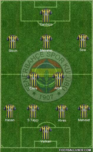 Fenerbahçe SK Formation 2013