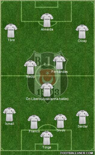 Besiktas JK Formation 2013