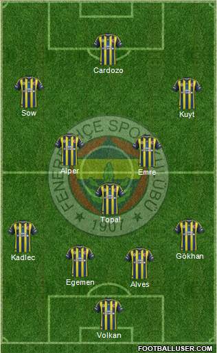 Fenerbahçe SK Formation 2013