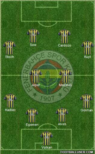 Fenerbahçe SK Formation 2013