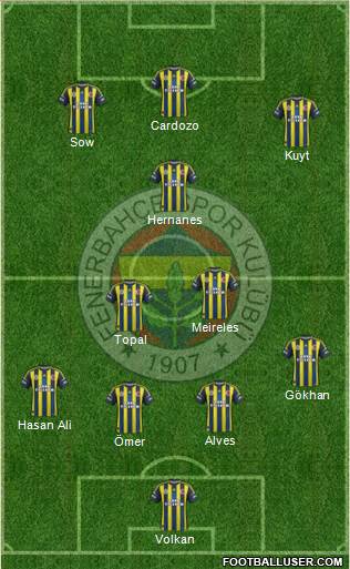 Fenerbahçe SK Formation 2013