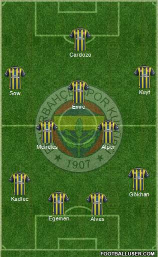 Fenerbahçe SK Formation 2013