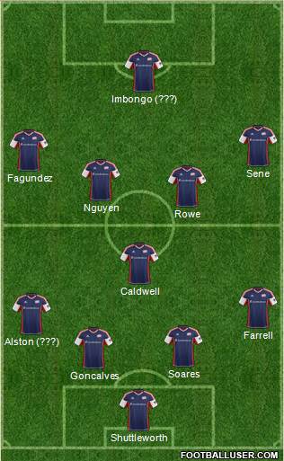 New England Revolution Formation 2013