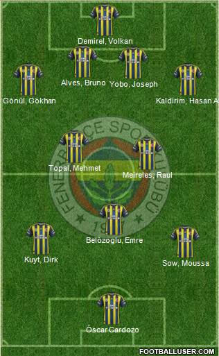 Fenerbahçe SK Formation 2013