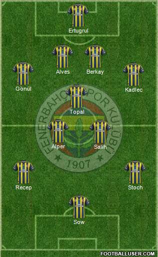 Fenerbahçe SK Formation 2013