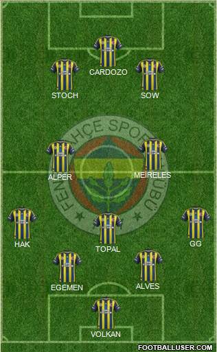 Fenerbahçe SK Formation 2013