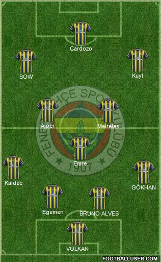 Fenerbahçe SK Formation 2013