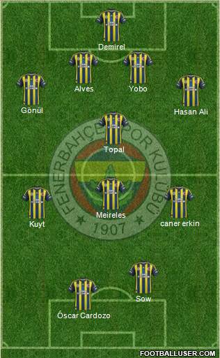 Fenerbahçe SK Formation 2013