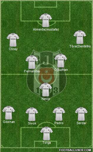 Besiktas JK Formation 2013