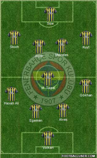Fenerbahçe SK Formation 2013