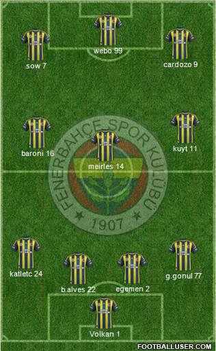 Fenerbahçe SK Formation 2013