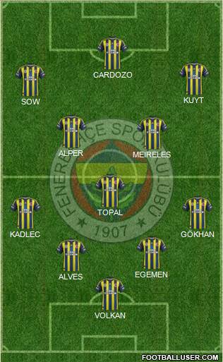 Fenerbahçe SK Formation 2013