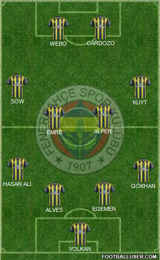 Fenerbahçe SK Formation 2013