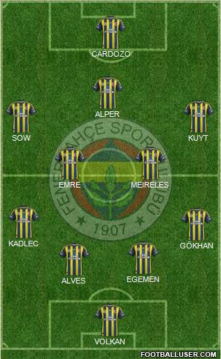 Fenerbahçe SK Formation 2013