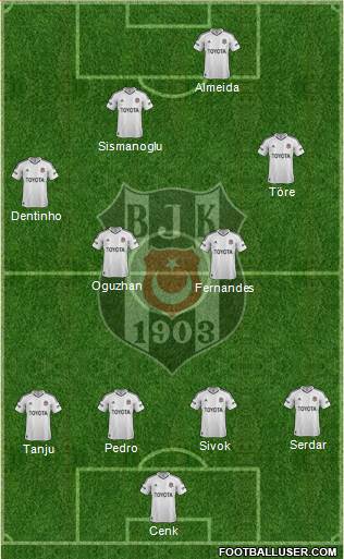 Besiktas JK Formation 2013