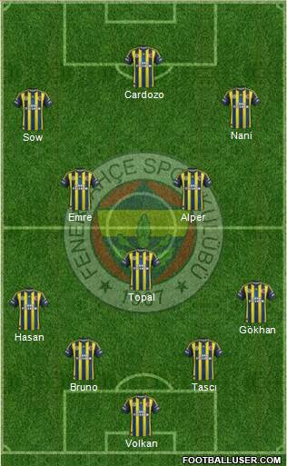 Fenerbahçe SK Formation 2013