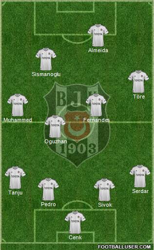 Besiktas JK Formation 2013