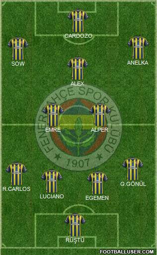 Fenerbahçe SK Formation 2013