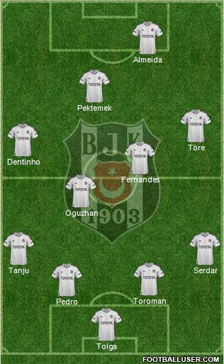 Besiktas JK Formation 2013