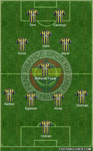 Fenerbahçe SK Formation 2013