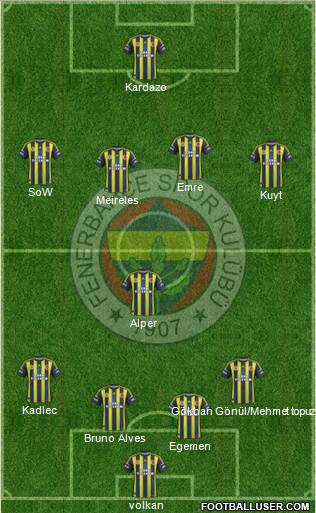Fenerbahçe SK Formation 2013