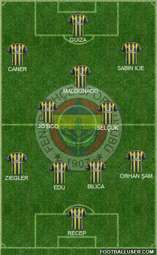 Fenerbahçe SK Formation 2013