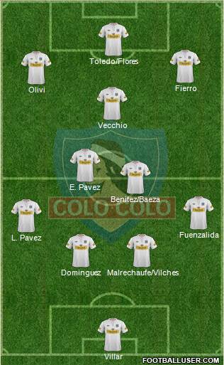 CSD Colo Colo Formation 2013