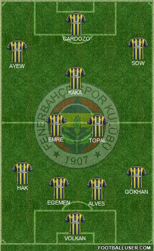 Fenerbahçe SK Formation 2013