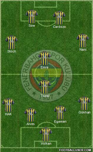 Fenerbahçe SK Formation 2013