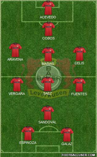 Bayer 04 Leverkusen Formation 2013