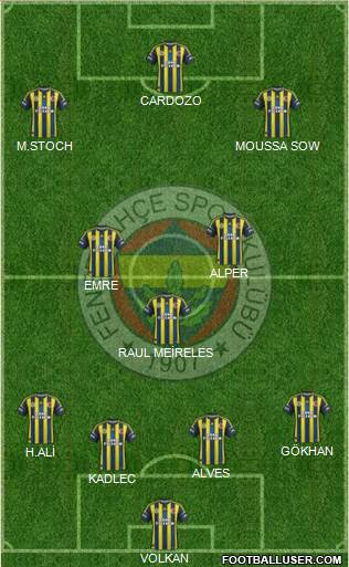 Fenerbahçe SK Formation 2013