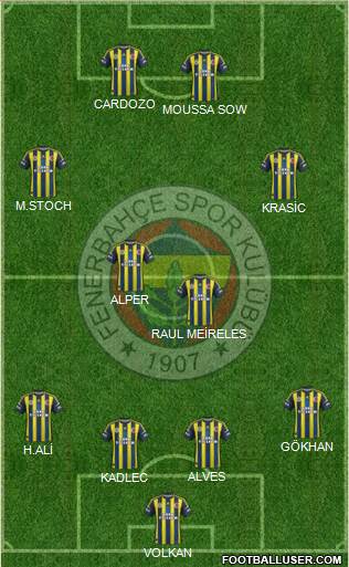 Fenerbahçe SK Formation 2013