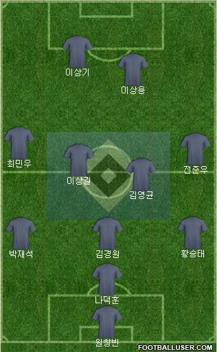 Hamburger SV Formation 2013