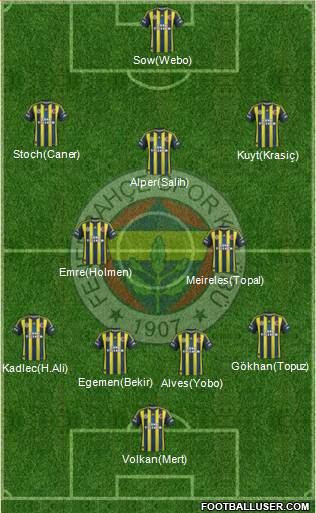 Fenerbahçe SK Formation 2013