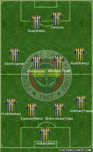 Fenerbahçe SK Formation 2013