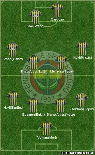 Fenerbahçe SK Formation 2013