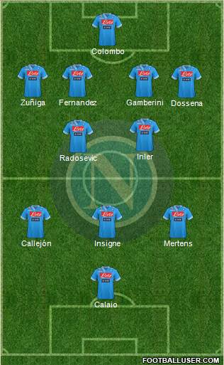 Napoli Formation 2013