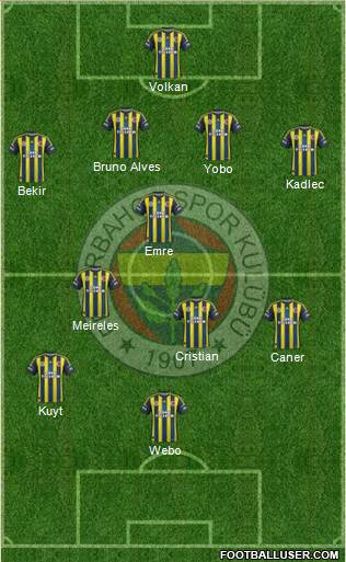 Fenerbahçe SK Formation 2013