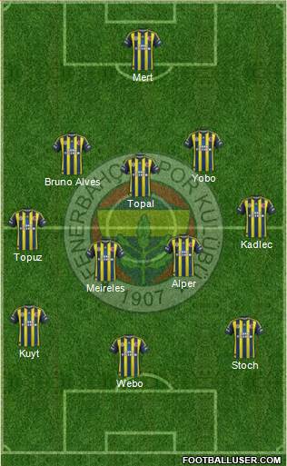 Fenerbahçe SK Formation 2013