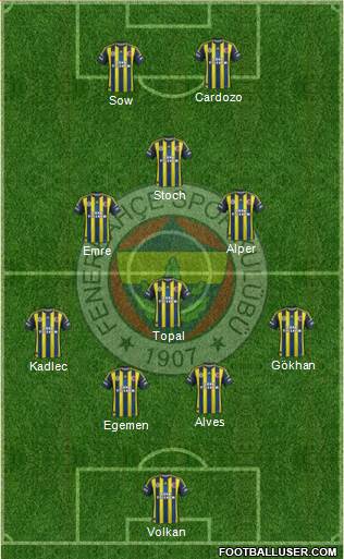 Fenerbahçe SK Formation 2013