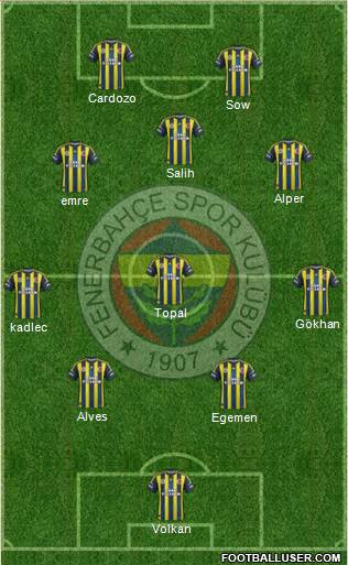 Fenerbahçe SK Formation 2013
