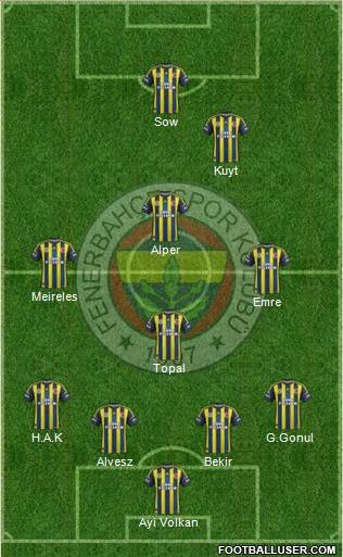 Fenerbahçe SK Formation 2013