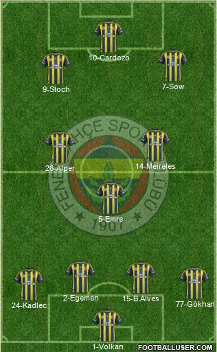 Fenerbahçe SK Formation 2013