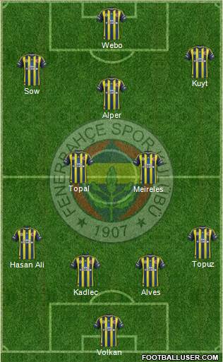 Fenerbahçe SK Formation 2013